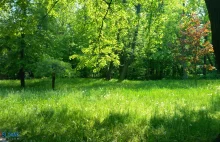 Świetne wino, bujna zieleń i piękne pawie - Park Zamkowy w Pezinku na Słowacji.