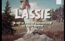 Czołówka kultowego serialu Lassie