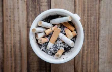 Dramatyczny spadek dochodów z akcyzy tytoniowej w sierpniu bieżącego roku