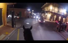 Policyjny pościg na koniu w Nowym Orleanie