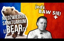 Na ratunek niedźwiedziom w Rumunii!