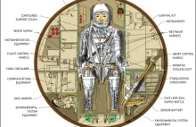 1st American in Orbit: How John Glenn (And NASA) Made History (Infographic
