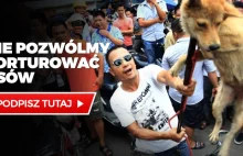 ZAKAZAĆ FESTIWALU PSIEGO MIĘSA W YULIN