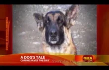 Niesamowita historia psa, który poprowadził funkcjonariusza do płonącego domu.