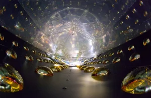 Nowa forma neutrino