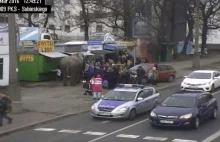 Śląsk. Słoń spaceruje po ulicach miast