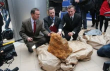 Pokazali największy odkryty w Polsce meteoryt