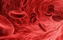 Transfuzja młodej krwi sposobem na długowieczność