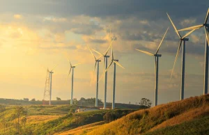 Dania po raz pierwszy w historii zaspokoiła 100% swoich potrzeb energią wiatrową