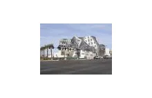 Niesamowity budynek - Centrum Zdrowia Mózgu Lou Ruvo