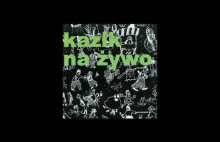 Kazik Na Żywo - płyta z 1995 roku aktualna jak nigdy przedtem