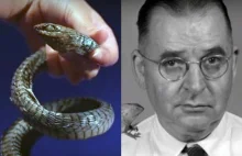 Dziennik śmierci: lekarz udokumentował ostatnie godziny życia po ukąszeniu węża.