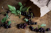 Aronia to wciąż niedoceniany skarb - zdrowszy niż większość tzw. superfoods!!!