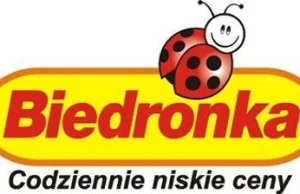 Biedronka zmienia się w chrząszcza