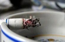 Ekspert o decyzji KGHM: Obwinianie palaczy o niską wydajność jest niemądre