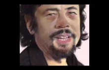 Portrait of Benicio Del Toro