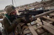 Bastion ISIS zdobyty. Premier Iraku ogłosił zwycięstwo