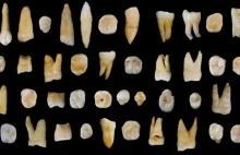 W Chinach znaleziono ludzki ząb sprzed 80.000 lat