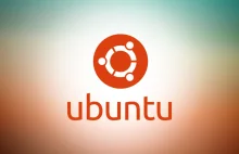 Do powtórzenia zgłoszonego błędu w Ubuntu, potrzebny jest kot