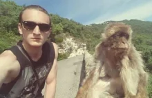 Pojechałem autostopem 3500km na Gibraltar i zrobiłem sobie selfie z dziką małpą