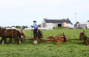 Farmerzy ofiarami wojny handlowej USA - Chiny. Stracili główny rynek zbytu