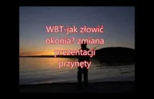 WBT- Jak złowić okonia? zmiana prezentacji przynęty na spinningu