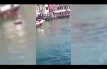 Imigrant tonął w kanale w Wenecji. Turyści śmiali się i nagrywali to na telefon