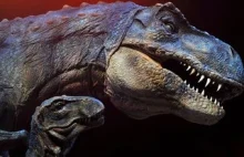 Ustalono najdokładniejszą datę zagłady dinozaurów