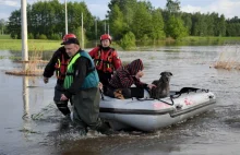 Schronisko dla psów w Borku prosi o pomoc. "Woda rośnie w oczach"