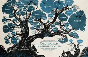 This Tree Beautifully Reveals The Relationships Between Languages