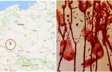 Dolnośląskie: Kolejny Polak zabity przez obcokrajowców