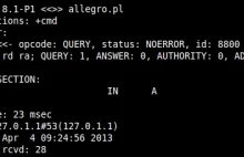 Problemów allegro.pl ciąg dalszy - DDoS, zabezpieczenia i DNS