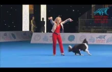 Dog dance World Championship 2016 – Winner freestyle - Yvonne Belin and Alice