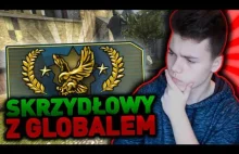 TROCHĘ SŁABY TEN ORZEŁEK! SKRZYDŁOWY Z GLOBALEM...