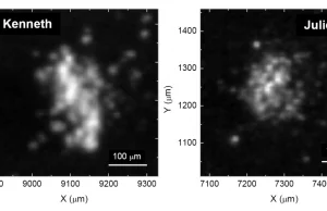 Sonda Rosetta odkryła w pyle komety 67P złożone organiczne cząsteczki