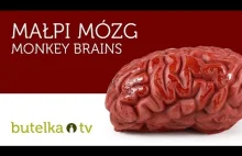 Krwawy shot o nazwie „Małpi Mózg” / Bloody shot called "Monkey Brain"