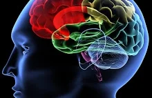 Dlaczego Gołotę ciężko zrozumieć? Brain Mystery: Encefalopatia bokserska.