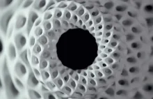 Struktury Fibonacciego wydrukowane drukarką 3D