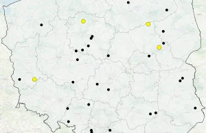 Mapa wypadków drogowych ze skutkiem śmiertelnym – WAKACJE 2019