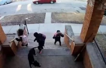 Nastolatek z miotłą ratuje dzieci przed atakiem agresywnego psa