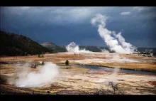 O skutkach ponownego wprowadzanie wilków do parku Yellowstone w 1995 roku [ENG]