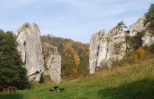 Jurajskie atrakcje. Dolina Bolechowicka