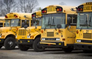 Dlaczego amerykańskie autobusy szkolne są żółte?