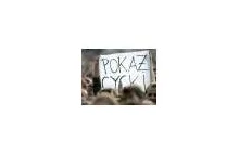 Witamy w Polsce - zdjęcie z koncertu Lily Allen z Open'era