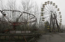 Ptaki żyjące w Czarnobylu...