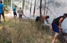Ukraińcy ratowali las przed pożarem: "Ogień mógłby dojść do domów"....