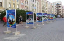 Kradli dane osobowe i głosowali na plac zabaw dla dzieci