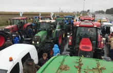 Francuscy rolnicy wyszli na ulicę. Strajki zapowiadają również...