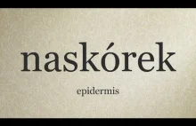 Polish Pronunciation of "naskórek" [epidermis