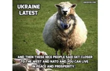 Układ pokojowy dla Ukrainy jest, a jakby go nie było...